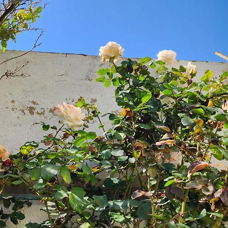 Duplex Bien Equipe Securise Avec Jardin Et Veranda El-Marsza Kültér fotó