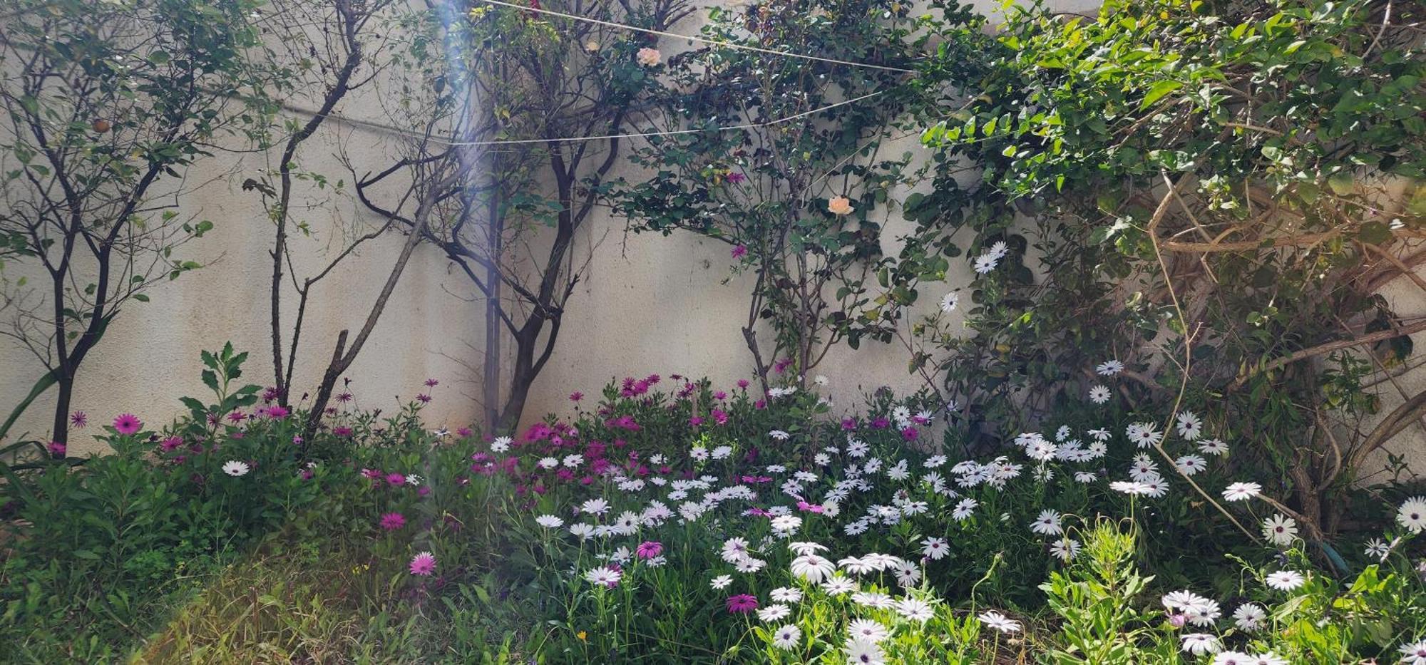 Duplex Bien Equipe Securise Avec Jardin Et Veranda El-Marsza Kültér fotó