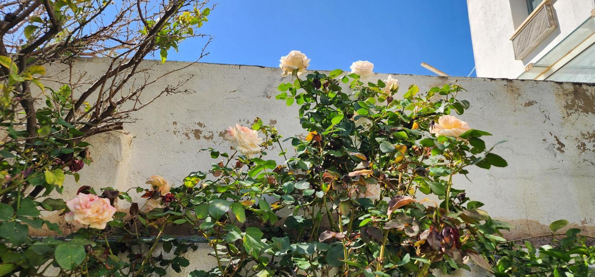 Duplex Bien Equipe Securise Avec Jardin Et Veranda El-Marsza Kültér fotó