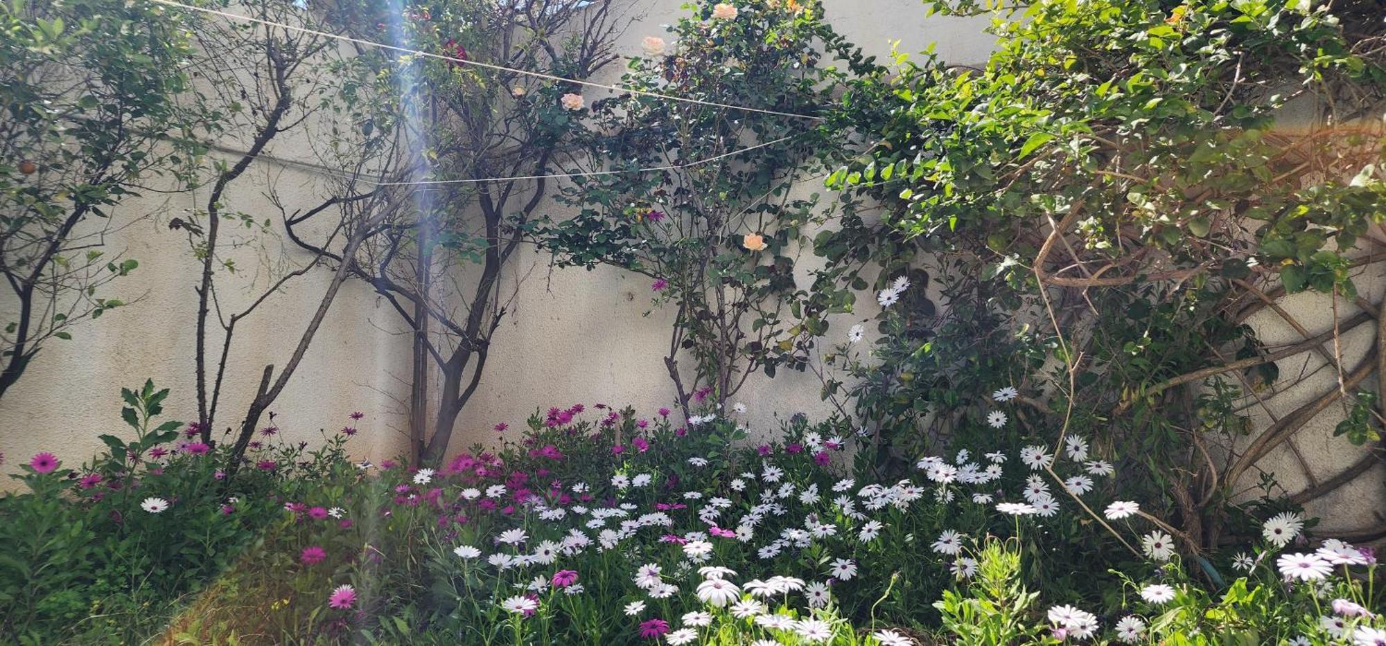 Duplex Bien Equipe Securise Avec Jardin Et Veranda El-Marsza Kültér fotó