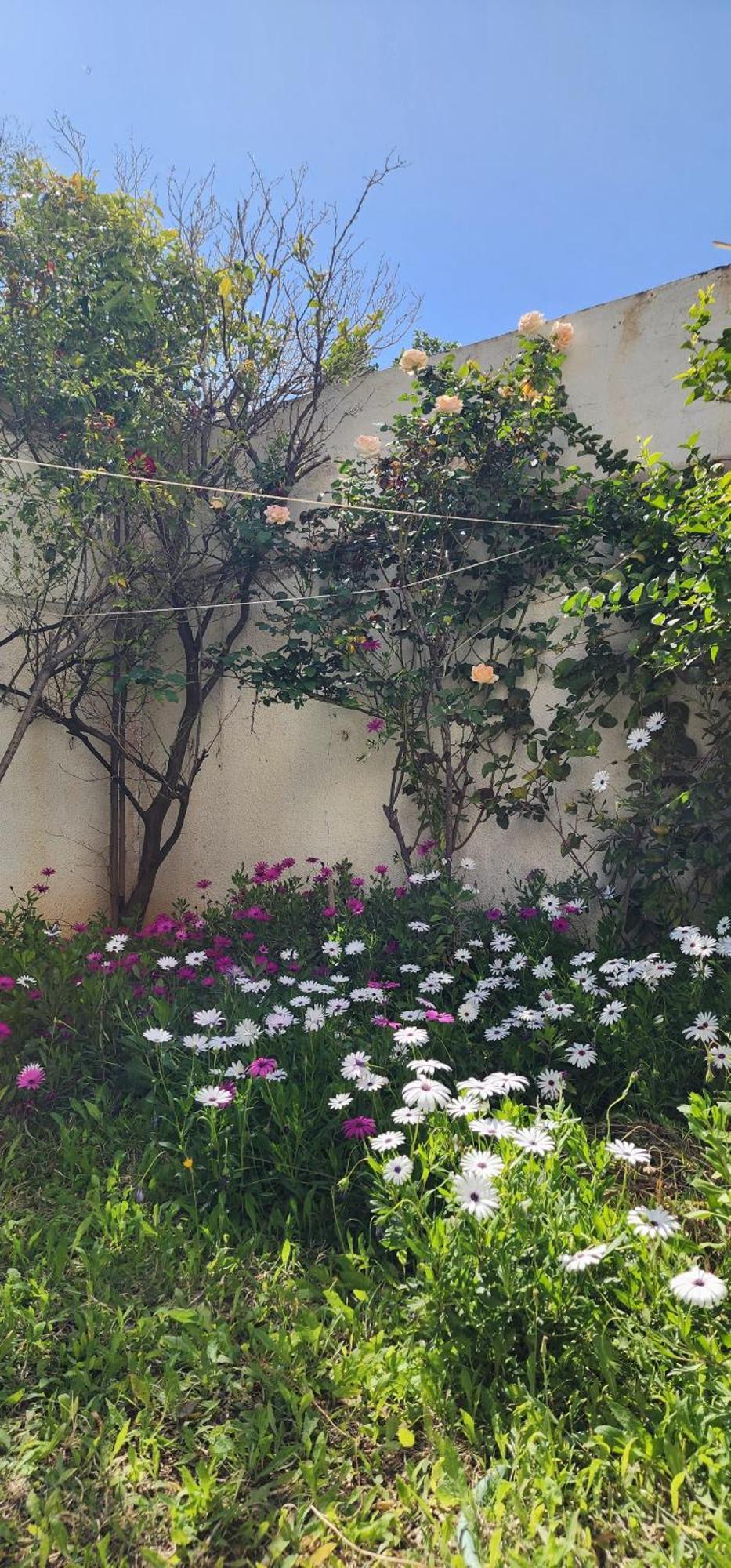 Duplex Bien Equipe Securise Avec Jardin Et Veranda El-Marsza Kültér fotó